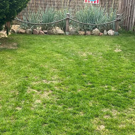 Moewe 44 * 하일리겐하펜